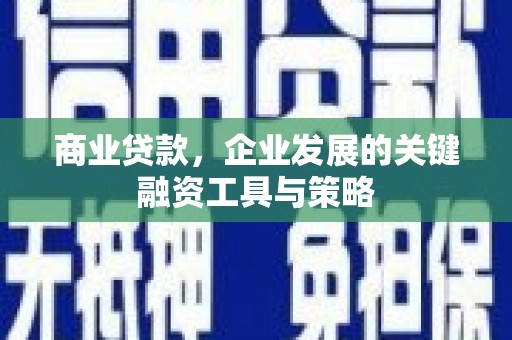 盖州商业贷款，企业发展的关键融资工具与策略