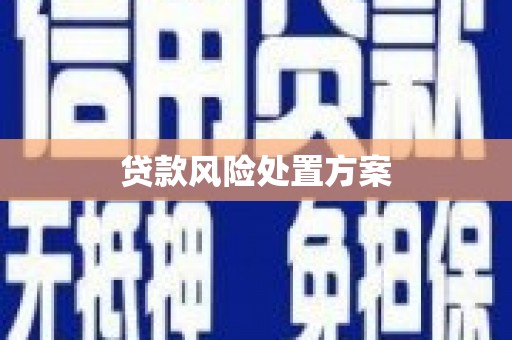 盖州贷款风险处置方案