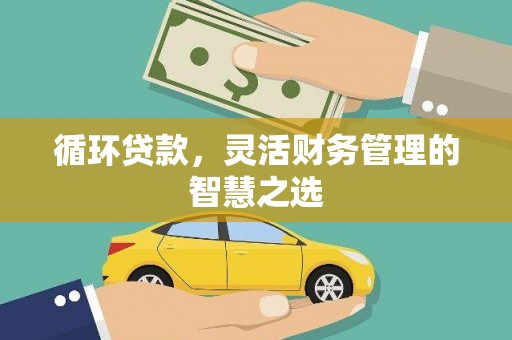盖州循环贷款，灵活财务管理的智慧之选