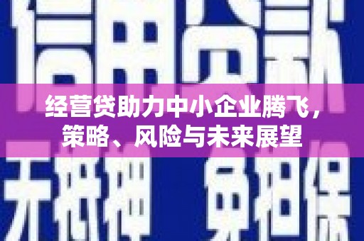 盖州经营贷助力中小企业腾飞，策略、风险与未来展望