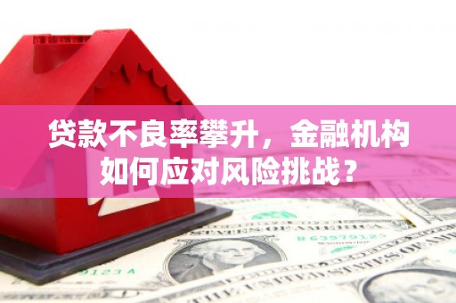 盖州贷款不良率攀升，金融机构如何应对风险挑战？