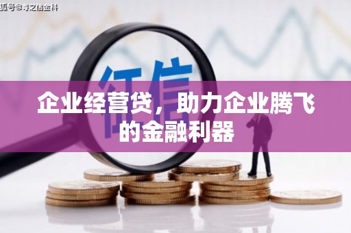 盖州企业经营贷，助力企业腾飞的金融利器