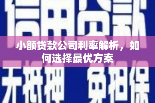 盖州小额贷款公司利率解析，如何选择最优方案