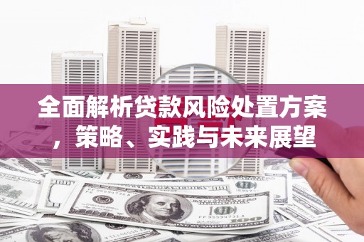 盖州全面解析贷款风险处置方案，策略、实践与未来展望