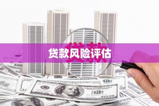 盖州贷款风险评估