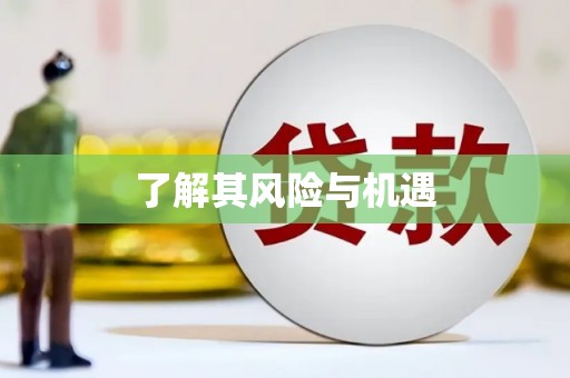 盖州了解其风险与机遇