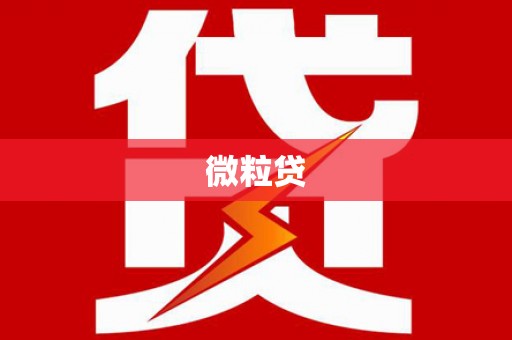 盖州微粒贷