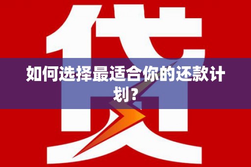 盖州如何选择最适合你的还款计划？