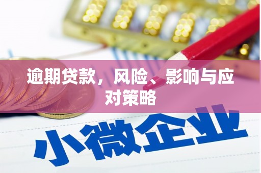盖州逾期贷款，风险、影响与应对策略