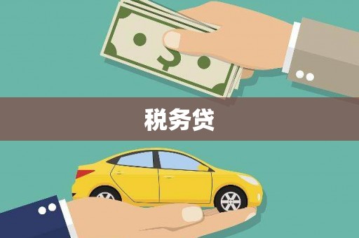 盖州税务贷