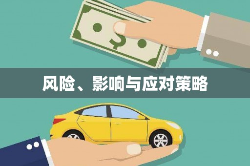 盖州风险、影响与应对策略
