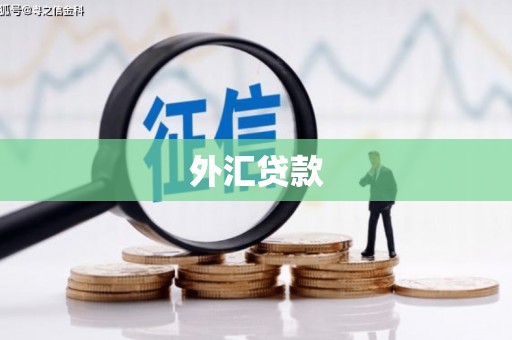 盖州外汇贷款
