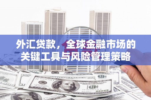盖州外汇贷款，全球金融市场的关键工具与风险管理策略