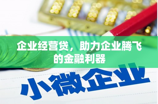 盖州企业经营贷，助力企业腾飞的金融利器