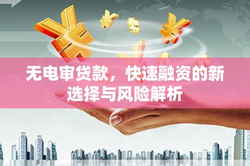 盖州无电审贷款，快速融资的新选择与风险解析