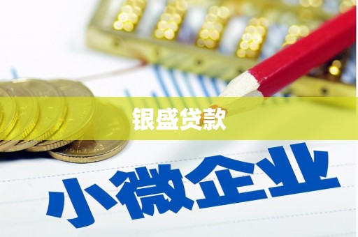 盖州银盛贷款