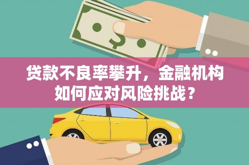 盖州贷款不良率攀升，金融机构如何应对风险挑战？