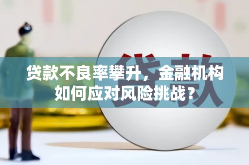 盖州贷款不良率攀升，金融机构如何应对风险挑战？