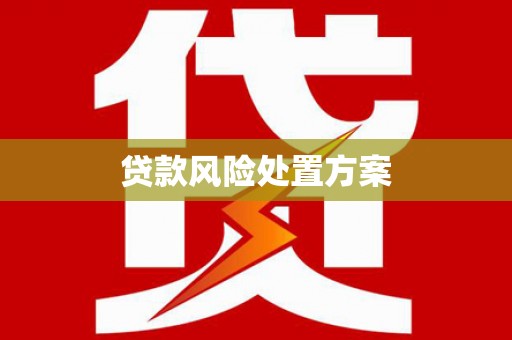 盖州贷款风险处置方案