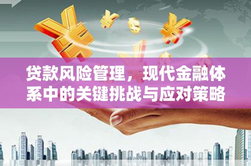 盖州贷款风险管理，现代金融体系中的关键挑战与应对策略