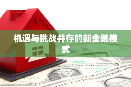 盖州机遇与挑战并存的新金融模式