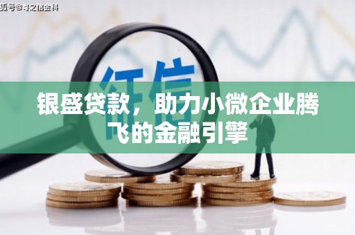 盖州银盛贷款，助力小微企业腾飞的金融引擎
