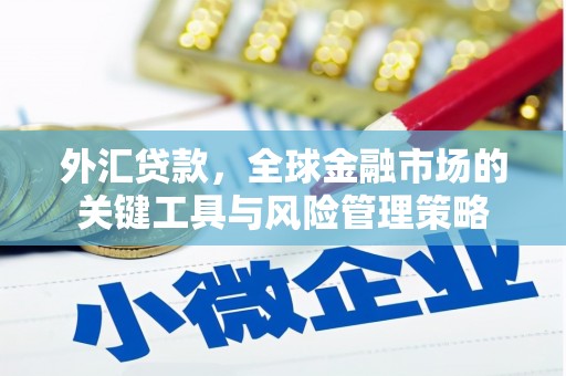 盖州外汇贷款，全球金融市场的关键工具与风险管理策略