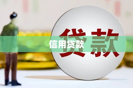 盖州信用贷款