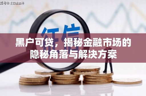 盖州黑户可贷，揭秘金融市场的隐秘角落与解决方案