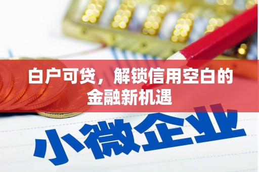 盖州白户可贷，解锁信用空白的金融新机遇