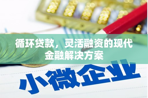盖州循环贷款，灵活融资的现代金融解决方案