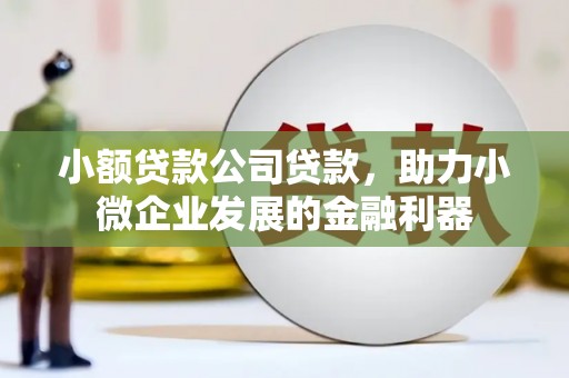 盖州小额贷款公司贷款，助力小微企业发展的金融利器