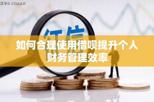 盖州如何合理使用借呗提升个人财务管理效率