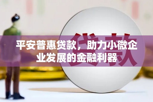 盖州平安普惠贷款，助力小微企业发展的金融利器