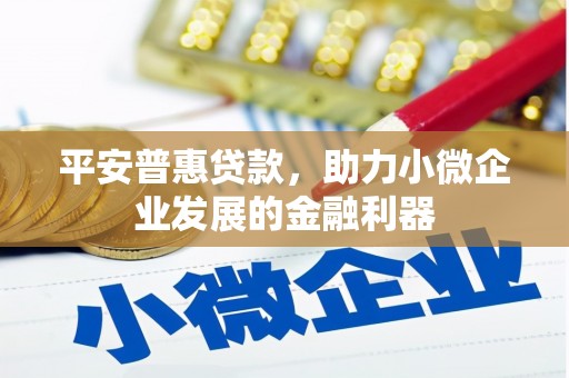 盖州平安普惠贷款，助力小微企业发展的金融利器