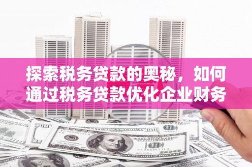 盖州探索税务贷款的奥秘，如何通过税务贷款优化企业财务