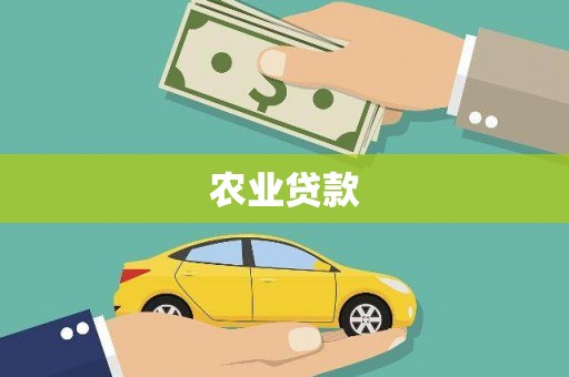 盖州农业贷款