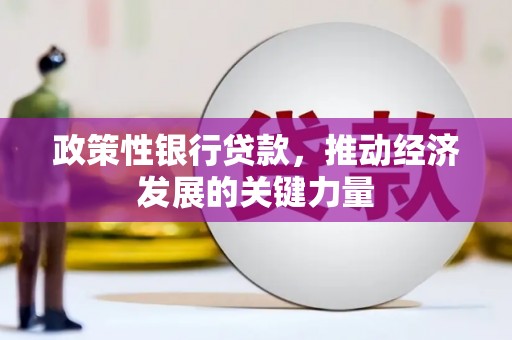 盖州政策性银行贷款，推动经济发展的关键力量
