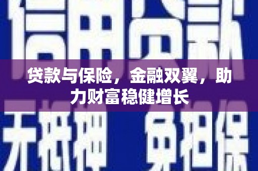 盖州贷款与保险，金融双翼，助力财富稳健增长
