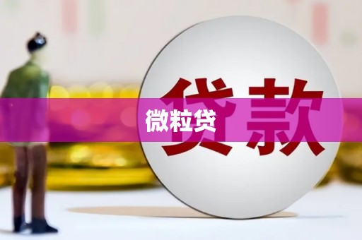 盖州微粒贷