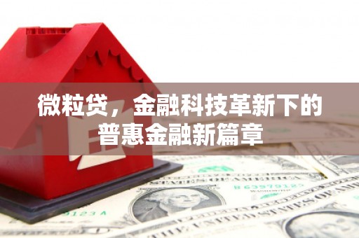 盖州微粒贷，金融科技革新下的普惠金融新篇章