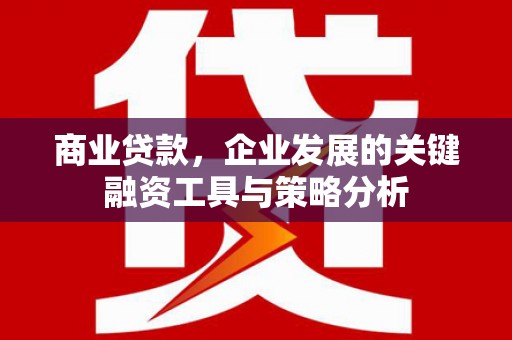 盖州商业贷款，企业发展的关键融资工具与策略分析