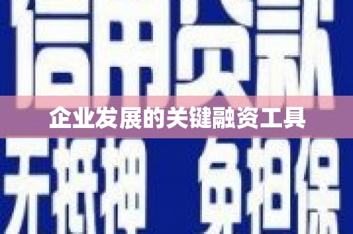 盖州企业发展的关键融资工具