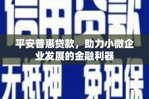 盖州平安普惠贷款，助力小微企业发展的金融利器