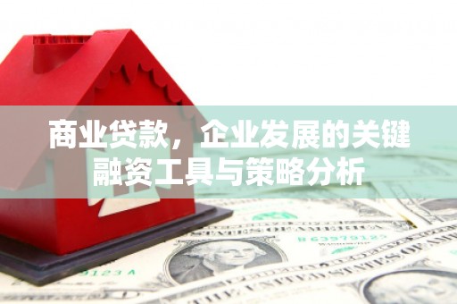 盖州商业贷款，企业发展的关键融资工具与策略分析