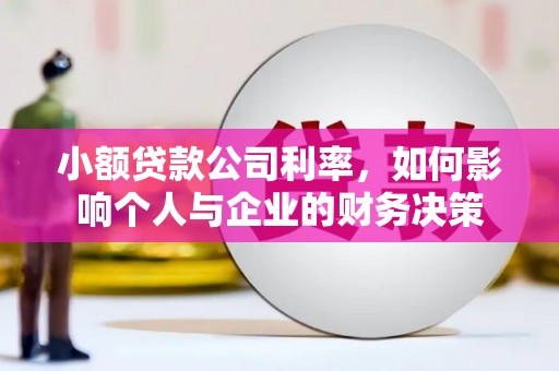 盖州小额贷款公司利率，如何影响个人与企业的财务决策