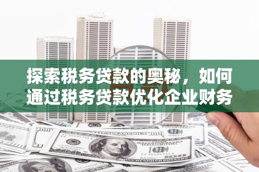 盖州探索税务贷款的奥秘，如何通过税务贷款优化企业财务