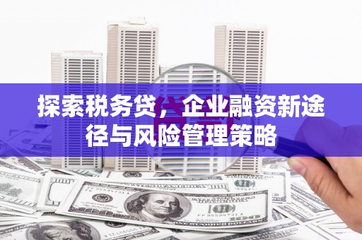 盖州探索税务贷，企业融资新途径与风险管理策略