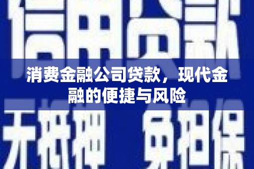 盖州消费金融公司贷款，现代金融的便捷与风险