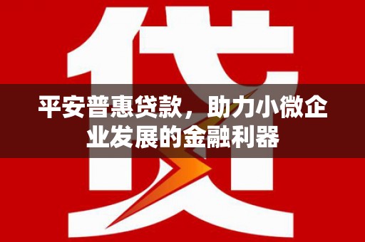 盖州平安普惠贷款，助力小微企业发展的金融利器